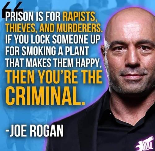 Screenshot_2022-03-06-05-24-18-54_a23b203fd3aafc6dcb84e438dda678b6