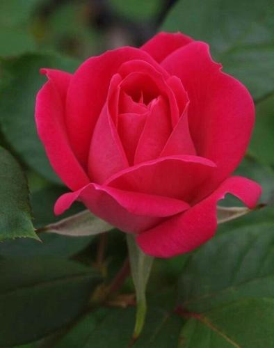 10:04:23 GMT-0500 (CDT)