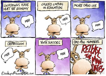 alg021822dAPR20220218024503-375x275-1