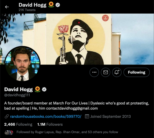 David Hogg Twitter Channel 2022Mar27