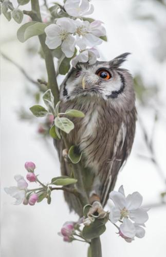 tumblr_c64cf0a1387f3a395784dbea0db6f1f0_36fa635d_640