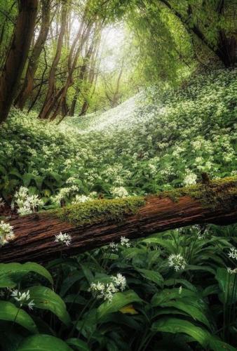 tumblr_308e3ef94c5cd9296d3afb69f35a3187_a0ecfd73_540