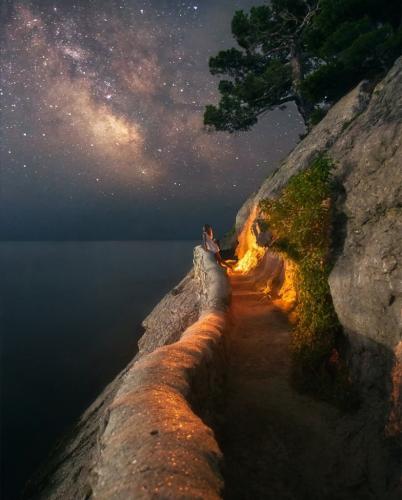 Nature Walkway at night