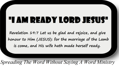 53292237_2233233906758728_6041006698804543488_n