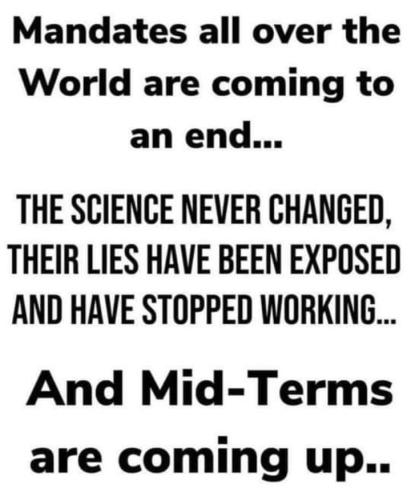 Screenshot_2022-03-03-15-42-20-72_a23b203fd3aafc6dcb84e438dda678b6