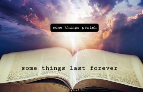 Screenshot_20220304-073118_DuckDuckGo