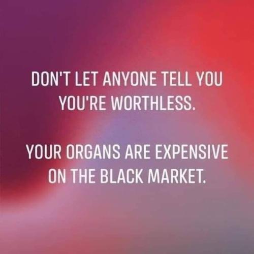 FB_IMG_1646148717342