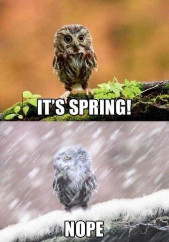 its_spring_nope