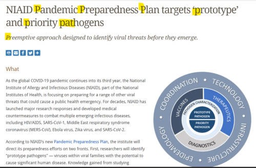 PP Plan 1
