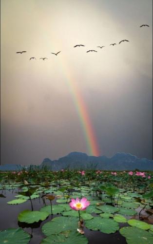 tumblr_68afe308492d2db93307e93e90d1676b_ecb4ea05_640