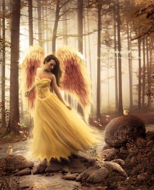 FB_IMG_1627180858986