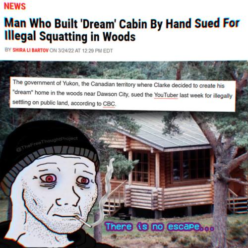 tumblr_0c20ee1bb4bcd9262bfbbe2c3df89b7c_9e283384_640