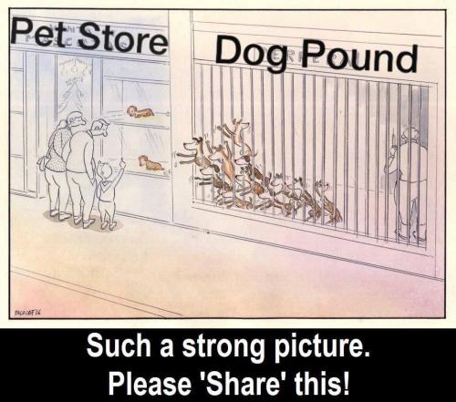 19:30:10 GMT-0500 (CDT).image