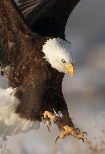 11:07:29 GMT-0500 (CDT)