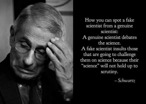 275135495_1335238356994698_3558599253639168714_n