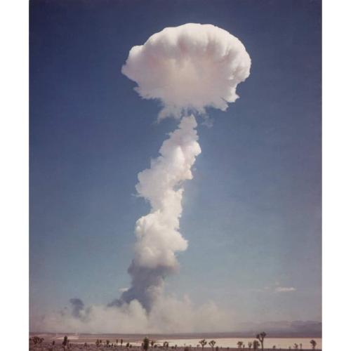 FB_IMG_1647648870616