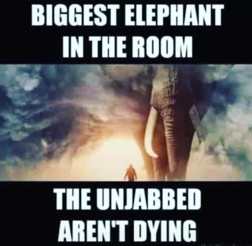 Screenshot_2022-03-02-05-45-44-09_a23b203fd3aafc6dcb84e438dda678b6