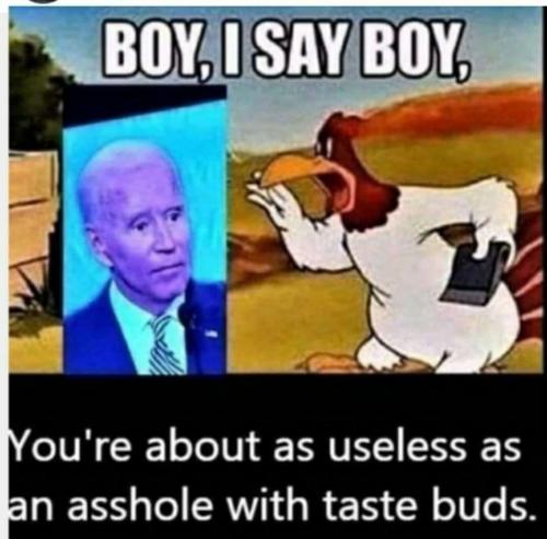 8d1db939-d83e-404e-b7fe-d684b0546e3c