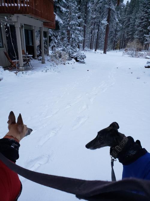 ea4677c5-e2bf-4bf5-a90e-a80455f98894