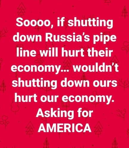 275469572_500785571720316_6629914943720731282_n