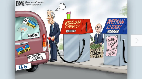 Screenshot 2022-03-03 at 11-05-21 Political cartoon of the day Reeks One Big-Gas Mistake