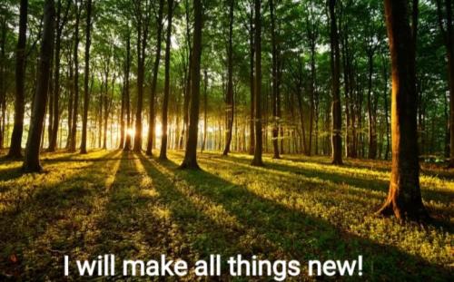 Screenshot_20220317-064156_DuckDuckGo