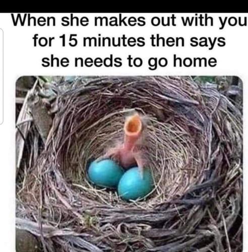 FB_IMG_1647737980207