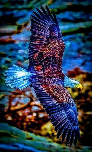 20:24:08 GMT-0500 (CDT)