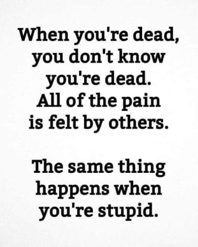 FB_IMG_1646149966249