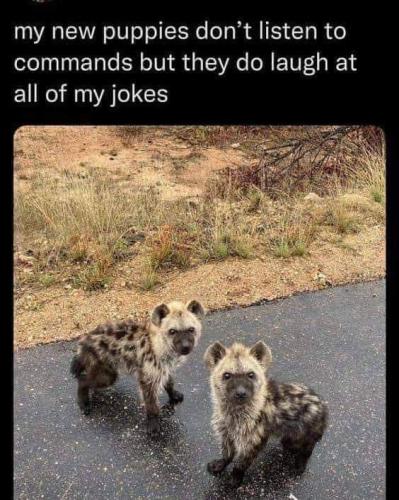 FB_IMG_1646636400900