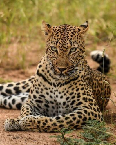 tumblr_a62c02eef3265adad87acdac8c641314_b25d39ae_540