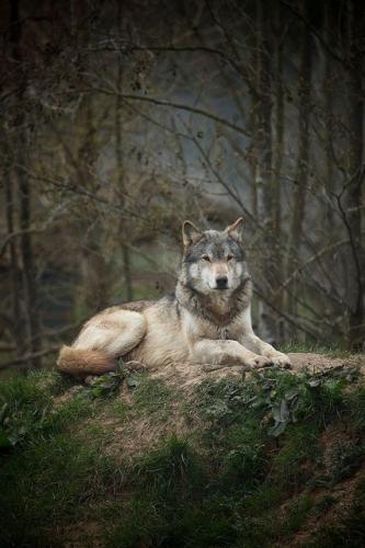 bba9ec0f03dd7cc27d82d05a0b9d9127