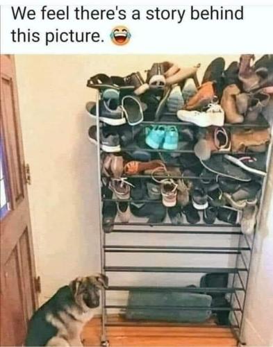 275875561_5067238630004526_3181216581638896885_n