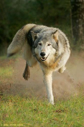 5a28627c10b1c4609975ae8aa539a265