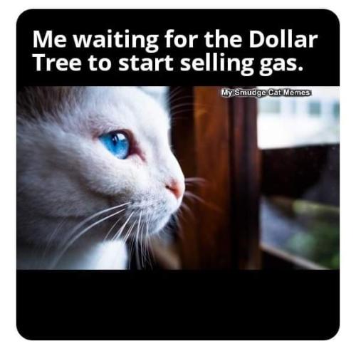 FB_IMG_1647194347195