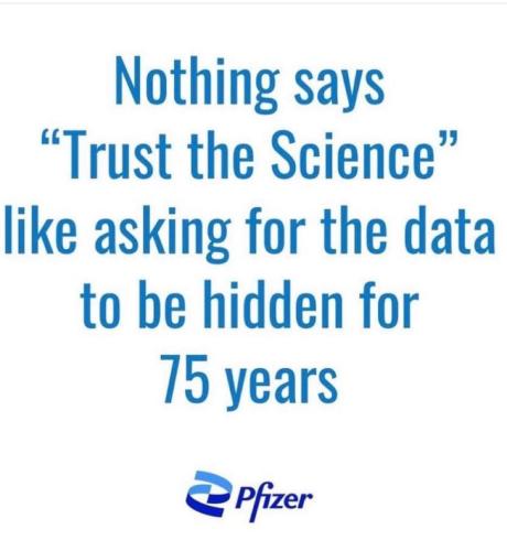 81431a292344a3dd41e543ba8ef4eb15_1024