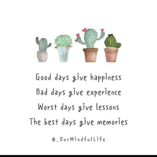 275988385_5378111518880128_6376722020259914027_n