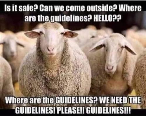 Screenshot_2022-03-06-19-11-18-81_a23b203fd3aafc6dcb84e438dda678b6