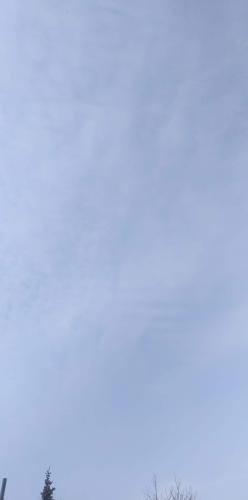 received_262556962715069