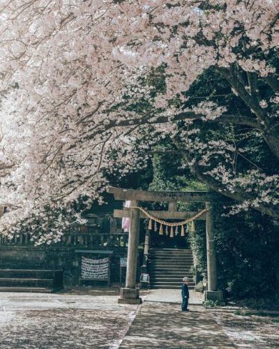 277296538_4719074691535784_3519024509318224620_n