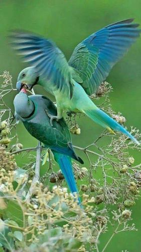 tumblr_7a85d83bdbda2a7ce8570a24fdf1bbc0_02dfe627_640