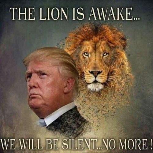 7bd4eddf-051d-41e7-b73c-cacde99d1088