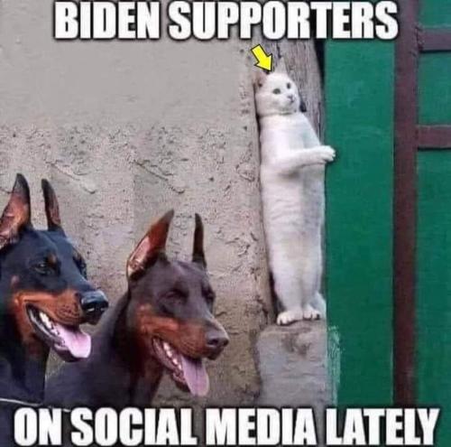 FB_IMG_1646810040126