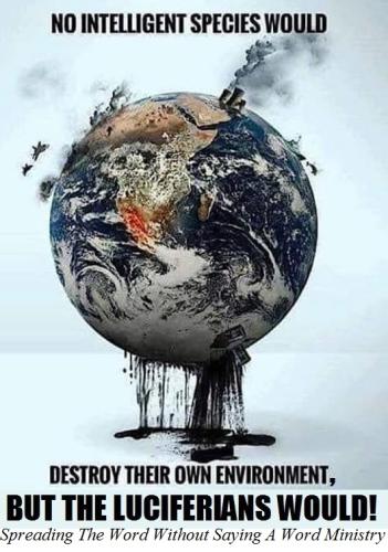 56721431_2257321074350011_327591956123222016_n