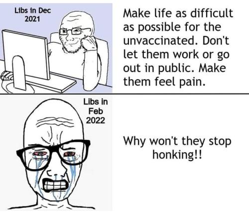 Screenshot_2022-03-06-19-15-13-87_a23b203fd3aafc6dcb84e438dda678b6