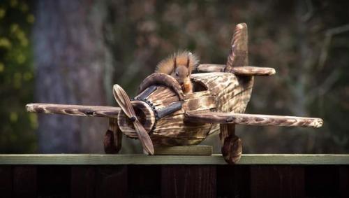 10:29:55 GMT-0500 (EST)