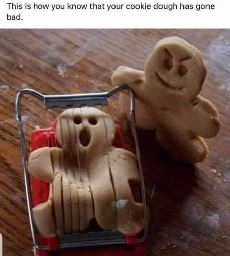 FB_IMG_1646635667143