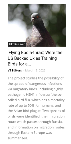 Screenshot_2022-03-15-17-40-25_kindlephoto-10547638500