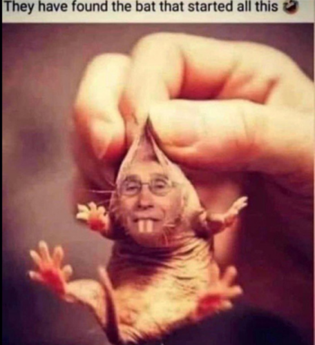 Screenshot_2022-03-14-12-19-50_kindlephoto-10422174626