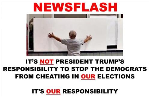 voterfraud295